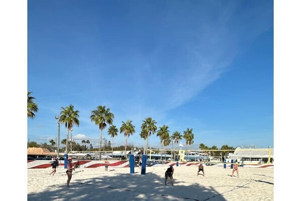Sports court - The perfect Gulfport Fl Getaway! (Gulfport)