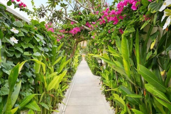 Terrain de l’hébergement 