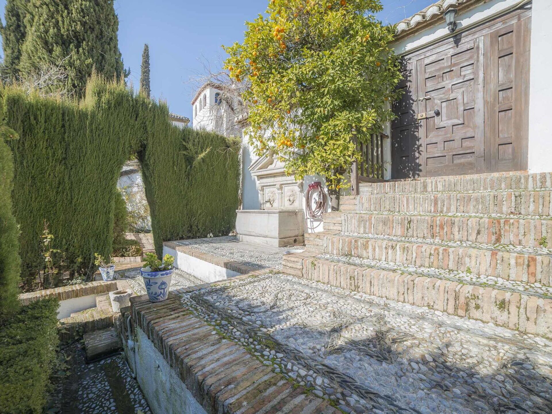 A courtyard with stone steps leading to a building, surrounded by greenery and a tree with orange fruits.