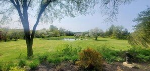 Property grounds - The Old Orchard Home surrounded by a small apple orchard, large meadows, and a private pond (Brandon)