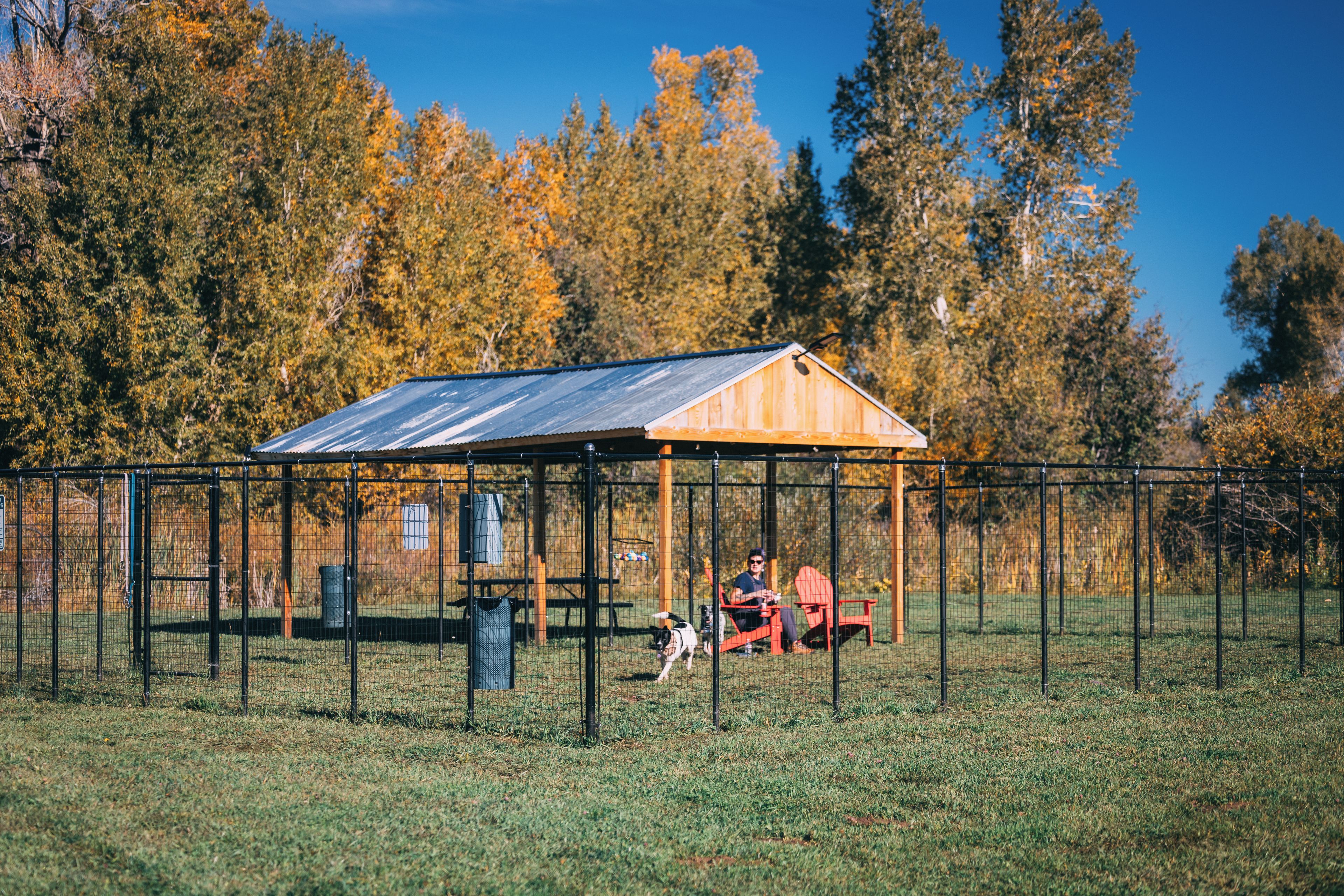 A fenced outdoor area with a metal-roofed shelter, a bench, and a dog.