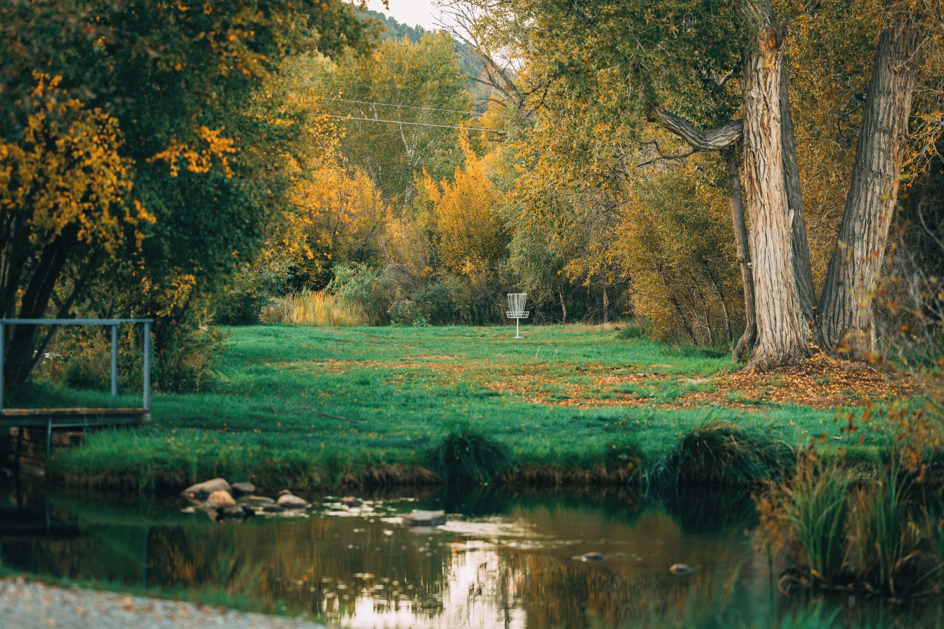 Un cadre extérieur paisible, avec un étang, une pelouse et des arbres aux feuilles d’automne.