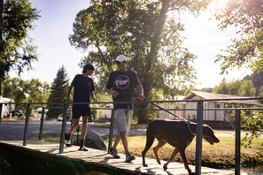 A person walking a dog on a paved path with metal railings, surrounded by trees and a building in the background. - Outdoorsy Bayfield (Bayfield)