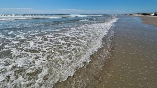 Ein Strand mit Wellen, die an das Ufer schlagen, einem klaren Himmel und einer entfernten Küstenlinie.