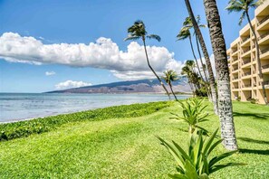 Plage, chaises longues, serviettes de plage