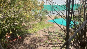 Unclassified image, 4 of 64, button - MAMA GREEN Eco Lodge l Permaculture Farm l Farm To Table (Urubamba)