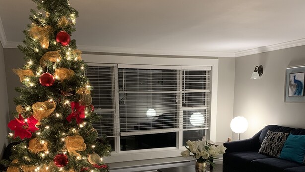 Ein Wohnzimmer mit geschmücktem Weihnachtsbaum, einem dunkelbraunen Sofa, einem Couchtisch und einem gemusterten Teppich.