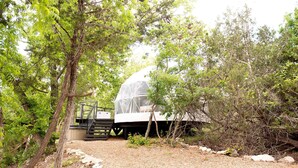 A geodesic dome structure elevated on stilts in a forested area with a staircase leading up to it.