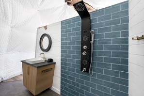 Shower, hair dryer