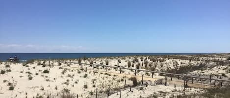Playa