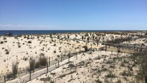 A sandy beach with a wooden fence, a clear blue sky, and the ocean in the distance.
