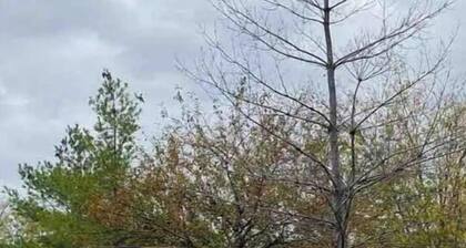 Cozy & Comfy Apartment!