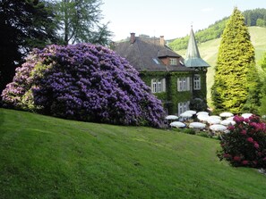 Um edifício com telhado inclinado, paredes cobertas de hera e um jardim com flores roxas e uma árvore verde alta.