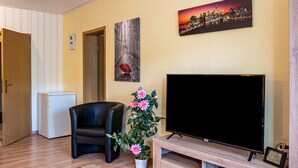 Un salon avec un téléviseur, une plante en pot, un fauteuil et une porte.