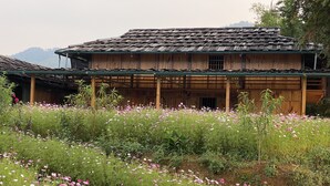 Un bâtiment traditionnel en bois, doté d’un toit à pente, entouré d’un jardin luxuriant où poussent différentes espèces de plantes à fleurs.