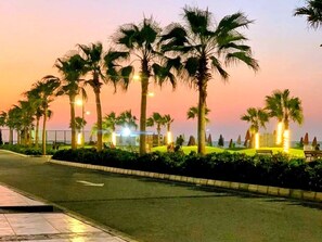 A sunset view with palm trees and street lights along a road.