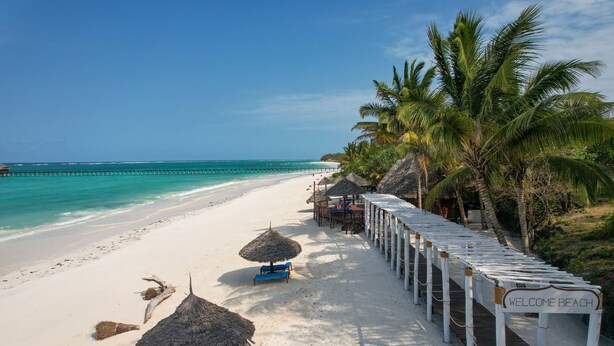 Een strand met een houten looppad, palmbomen en een pier op de achtergrond.