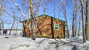 A wooden cabin with a green roof surrounded by snow-covered ground and leafless trees. - Secluded Remer Cabin w/ Lake Access! (Remer)