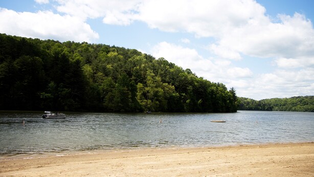 A beach with a forested hill in the background and a boat on the water.