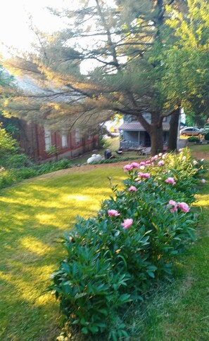 Property grounds - 1800's Patriot House Tappan Lake Deersville wifi, private yard Trailer Parking (DEERSVILLE)