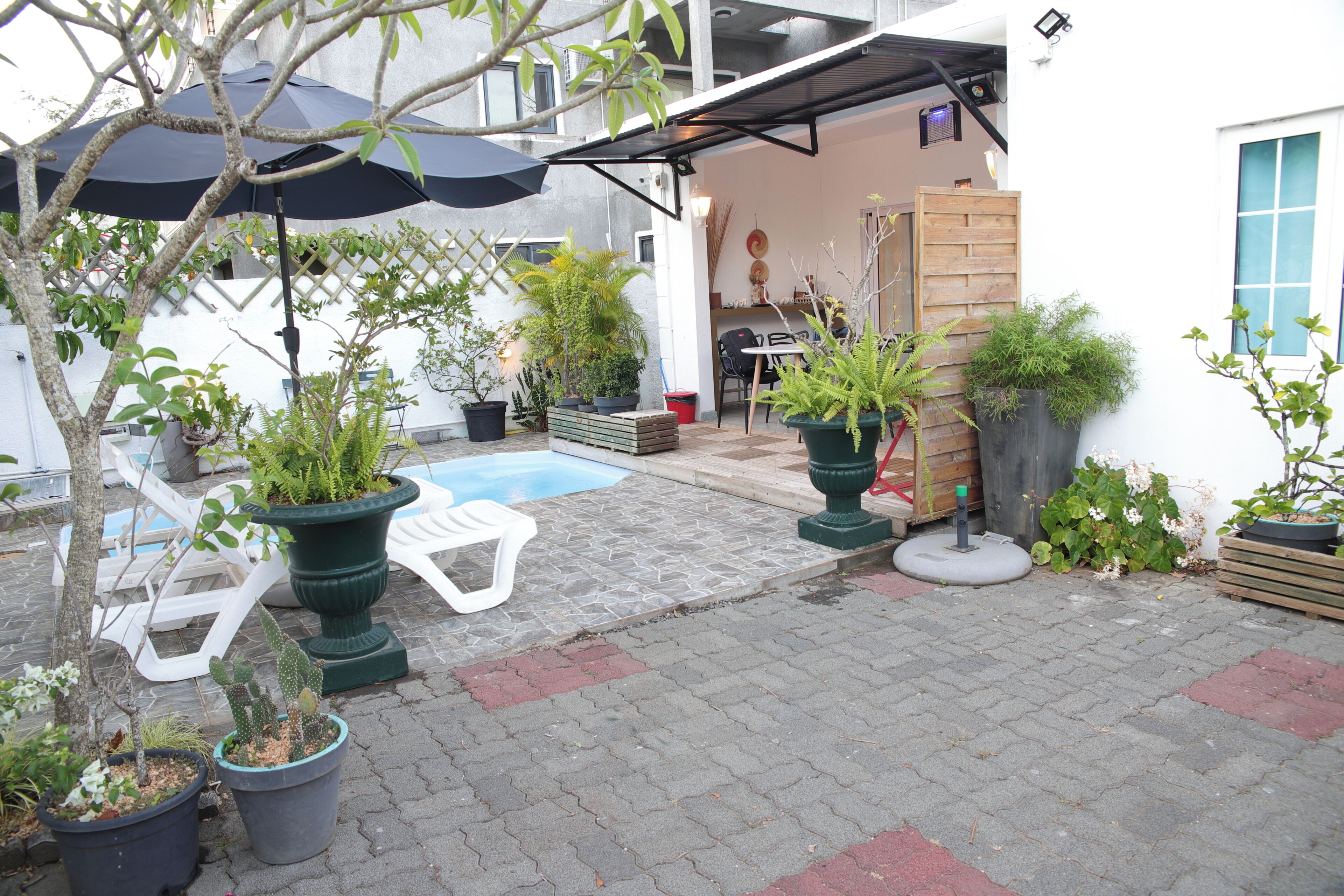 Une cour avec une piscine, des plantes en pot, une chaise blanche et une porte en bois.