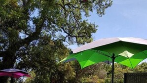 Een zwembad met kunstgras, ligbedden en parasols.