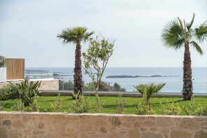A coastal property with a stone wall, palm trees, and a view of the sea.