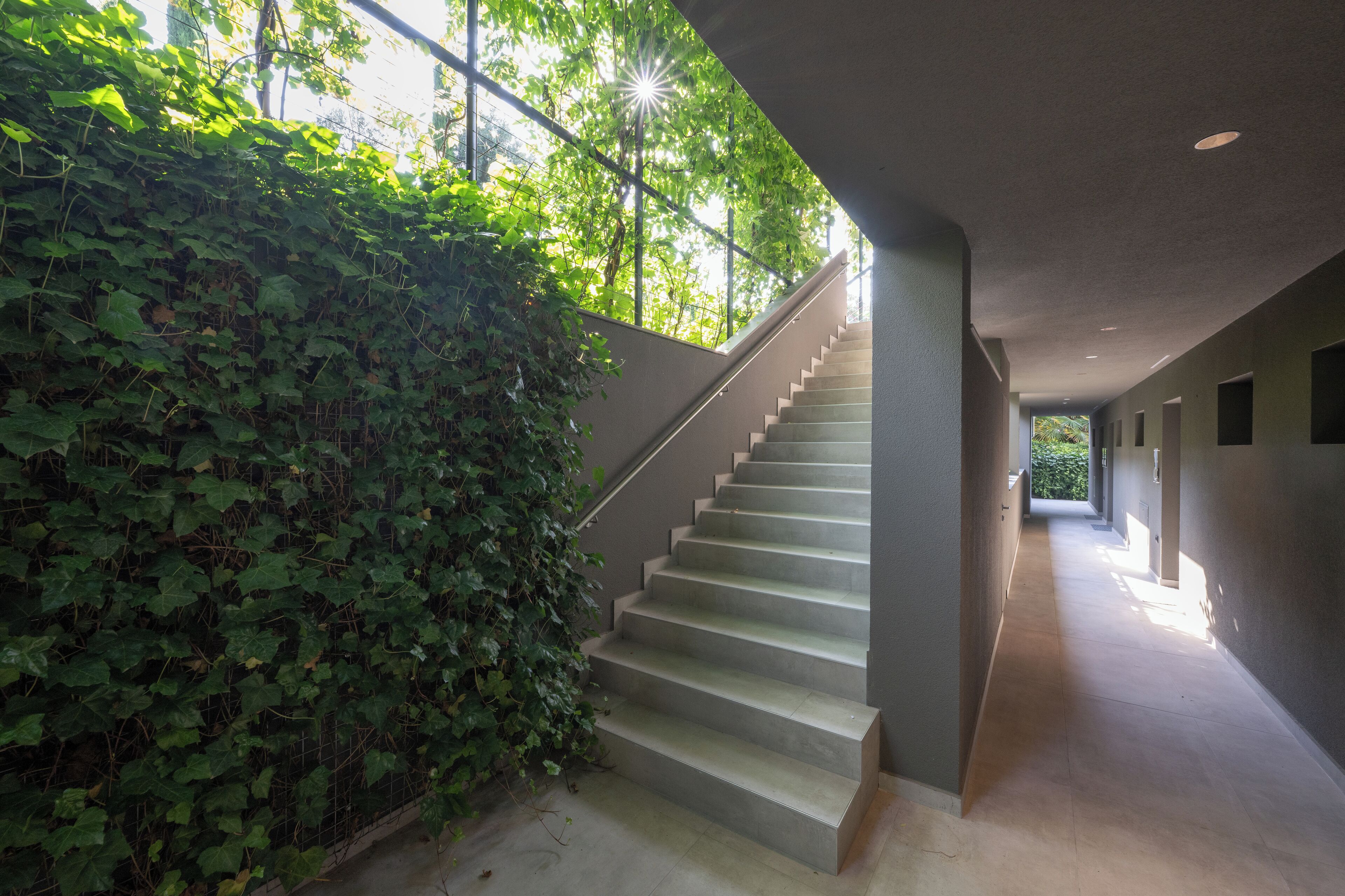 A staircase with a concrete finish, surrounded by a wall covered in green ivy, leading to a hallway with a light-colored floor.