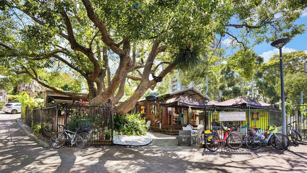 A cafe with outdoor seating, bicycles, and a large tree providing shade.
