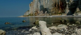 Gîte des Coquelicots