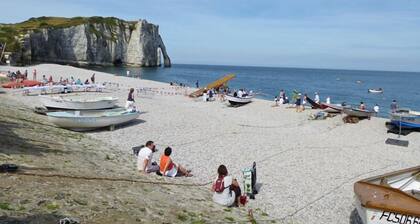 L'hortensia - Etretat