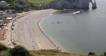L'hortensia - Etretat