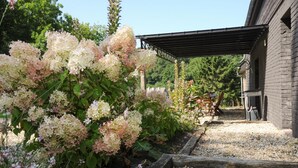 Un jardin agrémenté de buissons d’hortensias, d’un chemin de gravier et d’un bâtiment en briques.
