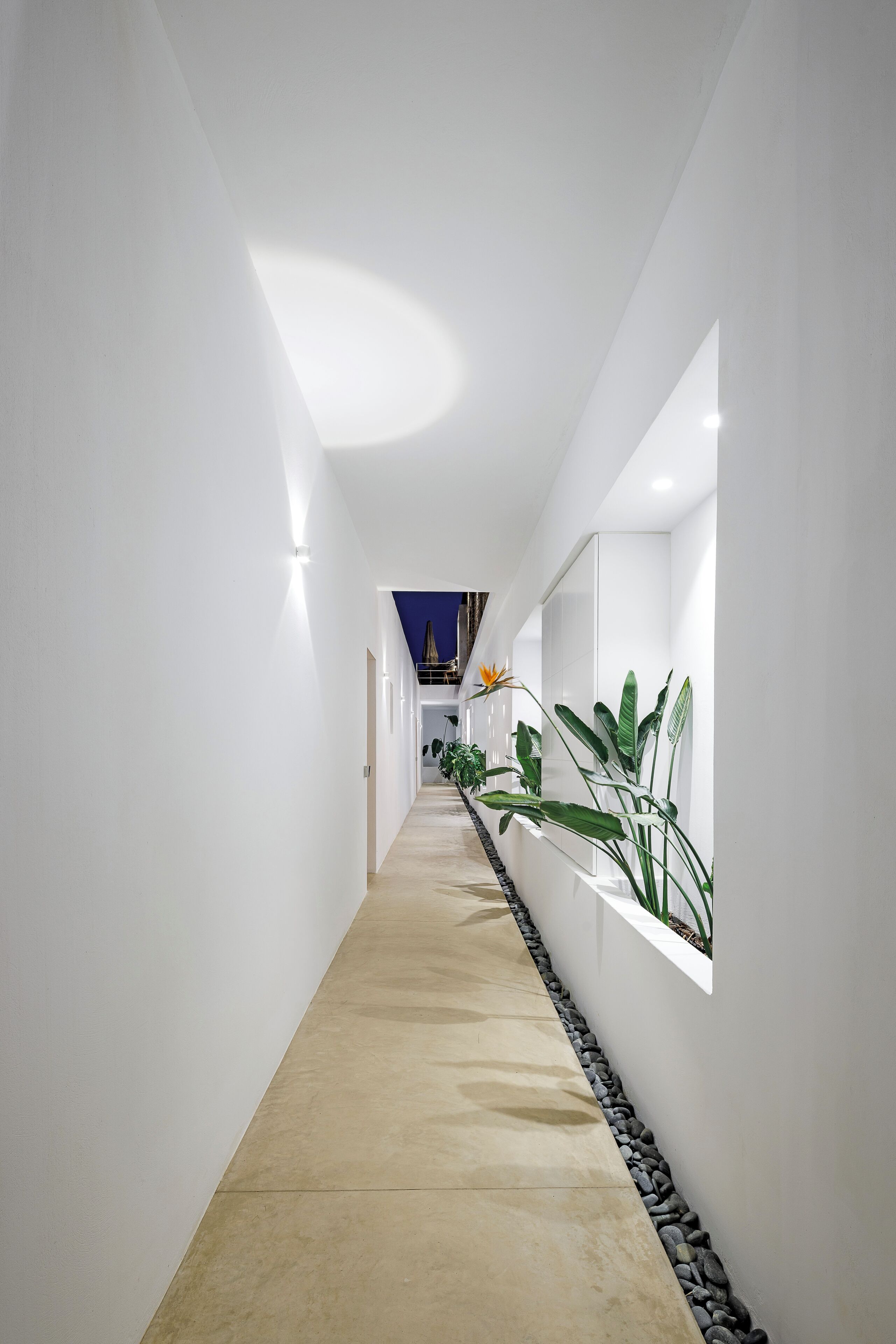 Un couloir moderne et bien éclairé, doté d’un sol en béton, de murs blancs et d’une rangée de plantes en pot le long d’un des murs.