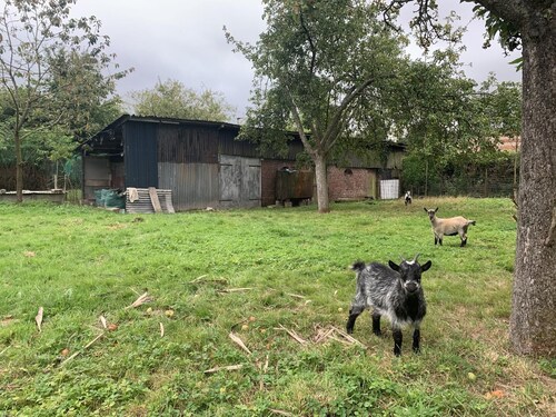 Le Gîte des Coquins - Ecrainville