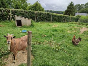 Parco della struttura