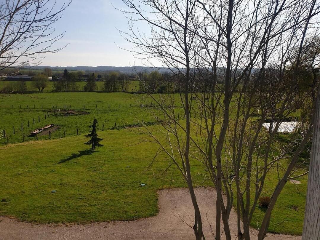 Eine ländliche Landschaft mit einem eingezäunten Feld, einem kleinen Teich und kahl stehenden Bäumen.
