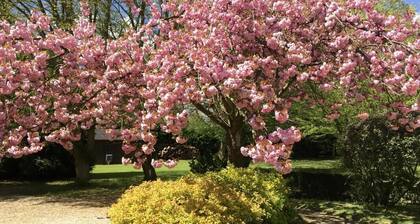 Les Prés des Charmilles