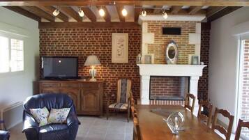 电视、壁炉、DVD 播放器