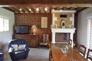 Tv, eldstad och dvd-spelare