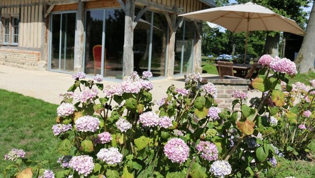 Une maison en bois avec de grandes portes vitrées, une terrasse avec des meubles d’extérieur, et des hortensias roses au premier plan.