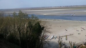 A beach with kayaks and canoes lined up, a sandy shore, and a distant view of a town across the water.