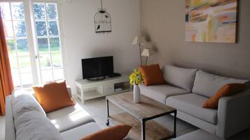 Télévision, lecteur de DVD, table de tennis de table