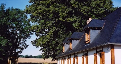 Le Brame aux Cerfs - Bailleul Neuville