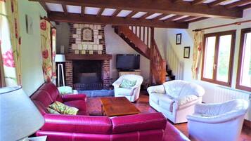 TV, fireplace, DVD player, ping pong