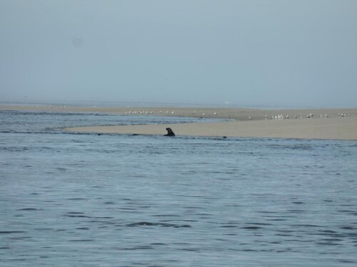 Les Sources - Saint Martin LE Gaillard