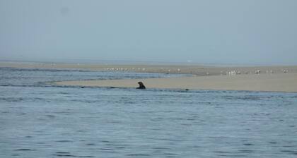 Les Sources - Saint Martin LE Gaillard