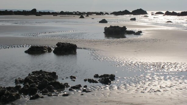 A beach with scattered rocks and calm waters. - Rose - Bourg DUN (BOURG DUN (LE))