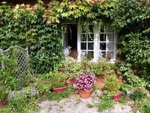Um jardim com diversas plantas e uma janela branca.