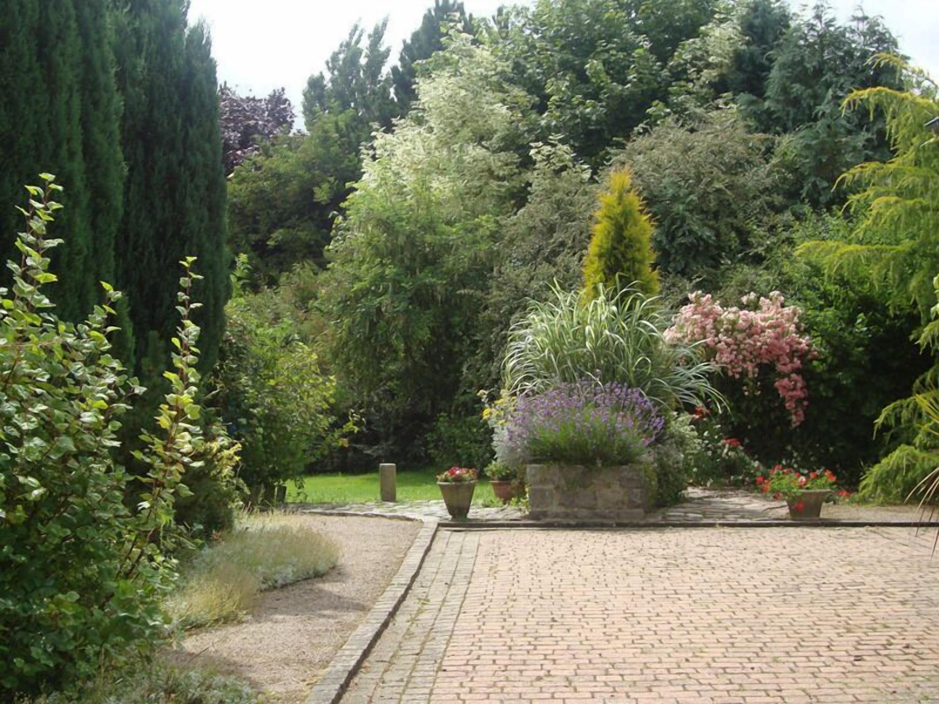 Un jardin avec un chemin pavé, différentes plantes et une structure en pierre.